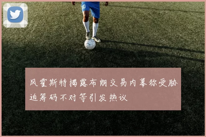 风霍斯特揭露布朗交易内幕称受胁迫筹码不对等引发热议
