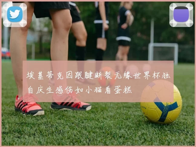 埃基蒂克因跟腱断裂无缘世界杯独自庆生感伤如小猫看蛋糕